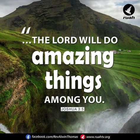 Alwin Thomas on Instagram: “… the Lord will do amazing things among you.” Joshua 3:5 (NIV) #dailybreath #ruah #ruahchurch #ruahministries #promiseverse…” Joshua 5, Joshua Bible, Book Of Joshua, Faithful God, Blessing Words, Body Of Christ, Christian World, Spiritual Words, Gospel Of Jesus Christ