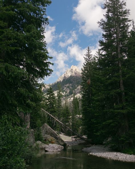 A weekend spent Wandering the Winds. . 22.2 miles on a unnamed trail in an unnamed canyon in the rural Wyoming Mountains. The wildflowers were in full bloom and adorned the land with vibrancy & the weather wrapped us in the cool shawl of summer in the West. These are the weekends that refresh my soul. . #wyomingwild #wyomingphotographer #wandering #backpacking #wild Wyoming Aesthetic, Pnw Vibes, Wyoming Ranch, Wyoming Mountains, Americana Aesthetic, Jackson Wyoming, Cross Country Road Trip, Beautiful Scenery Pictures, Beauty Places