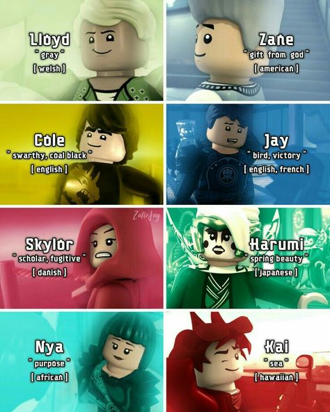 Ninjago Quotes, Ninjago Characters, Ninja Go, Lloyd Ninjago, Zane Grey, Ninjago Memes, Ninjago Kai, I Ninja, Lego Ninjago Movie