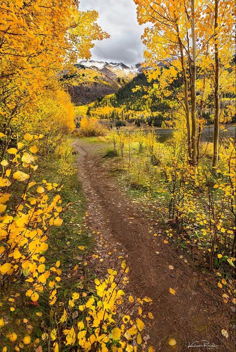 Birch Tree Art, Aspen Trees, Countryside House, Autumn Scenery, Beautiful Scenery Nature, Nature Themed, Magical Places, Second World, Hello Autumn