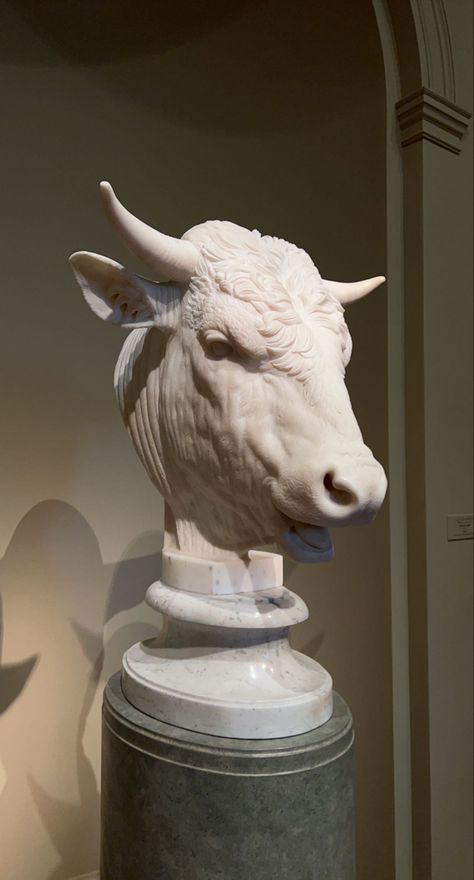 photo: @kjhixe | #statue #art #artmuseum #cow #cowhead #marble #details Maya Animation, Cow Sculpture, Bull Sculpture, Burger Shop, Bull Art, Statue Art, Art Stone, Cow Head, Animal Statues