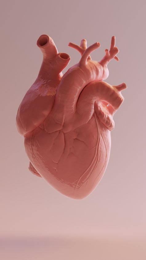 Anatomical Heart Art, Medical Animation, Marketing And Sales, Video Animation, Medical Art, Logo Animation, Video Effects, Human Heart, Quality Content