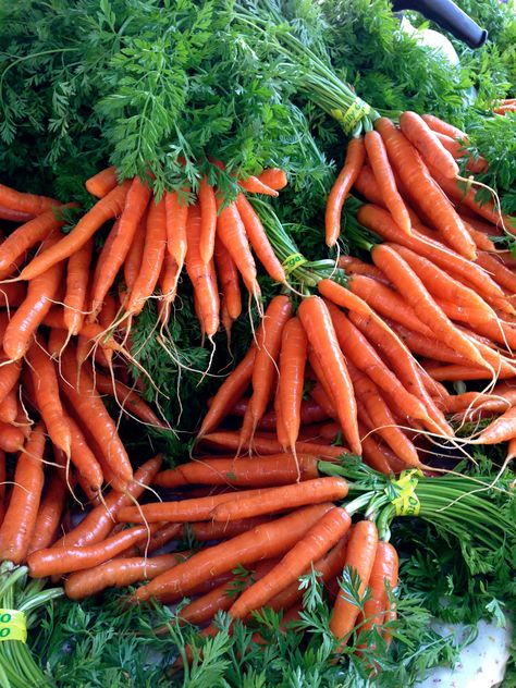 Carrot Farm, Farmer Market, Garden Layout Vegetable, Farm Food, Food Garden, Vegetarian Food, Cooking Art, Planting Vegetables, Fitness Nutrition