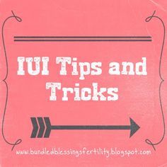 Iui Success Tips, Iui Success Stories, Iui Success, Getting Pregnant With Twins, Fertility Tips, How To Conceive, Get Pregnant Fast, Healthy Pregnancy, Pregnancy Tips