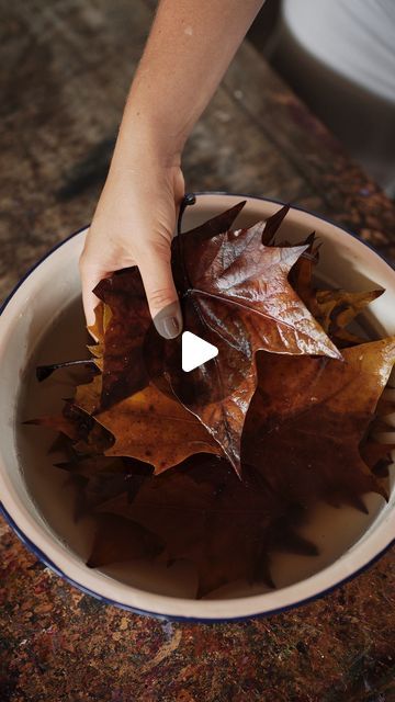 Landart Ideas, Fall Leaves Decor, Nature Exhibition, Natural Fall Decor, Dry Leaf Art, Tree Branch Art, Fall Leaf Decor, Art Altéré, Leaf Projects