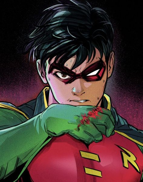 Batman Webtoon, Red Hood Outlaws, Robin Icons, Red Hood Dc, Jason Todd Robin, Profile Picture Pfp, Red Hood Comic, Tim Drake Red Robin, Jason Todd Batman