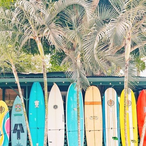 we think about surf all day long ~ ✌️🌴 . . . . . . . #marliandcove #throwbackthursday #palmtrees #surfers #surfing #beachbum #surfergirl… Mavericks Surfing, Surf Vibes, Air New Zealand, Summer Surf, Burton Snowboards, Surf Life, Kitesurfing, Skateboard Art, Photo Wall Collage