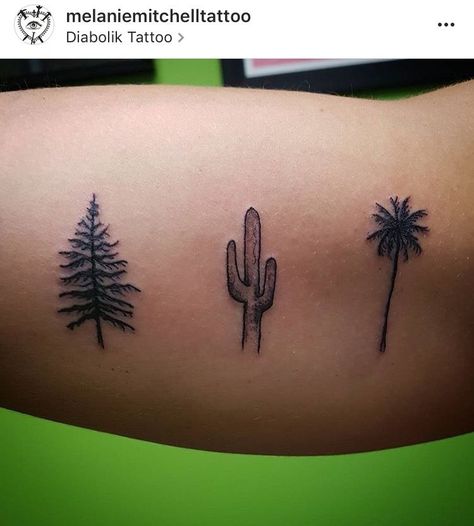 cactus tattoo with roots - Google Search Cactus Pine Tree Tattoo, Pine Tree And Palm Tree Tattoo, Cactus And Palm Tree Tattoo, Palm Tree Tattoo Black, Cactus Tattoo Men, Tattoo On Inner Bicep, Tree Tattoo Bicep, Tiny Cactus Tattoo, Tree Roots Tattoo