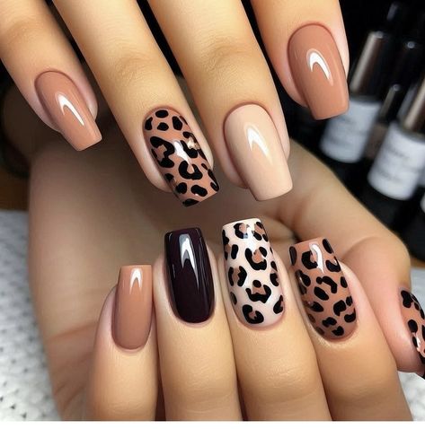 Leopard Nail Designs, Cheetah Nail Designs, Unghie Sfumate, Cheetah Nails, Leopard Print Nails, Nail Art Set, Leopard Nails, Animal Print Nails, Fancy Nails