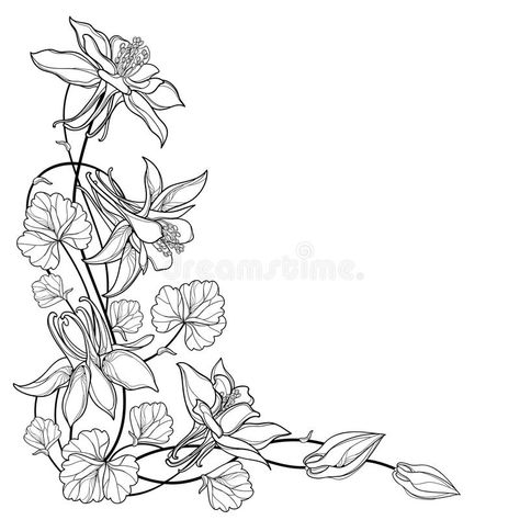 Columbine Tattoo, Columbine Flower Tattoo, Columbine Flower, Paper Art Design, Colorado Art, Floral Tattoo Sleeve, Flower Drawing Design, Flower Outline, Flower Sketches