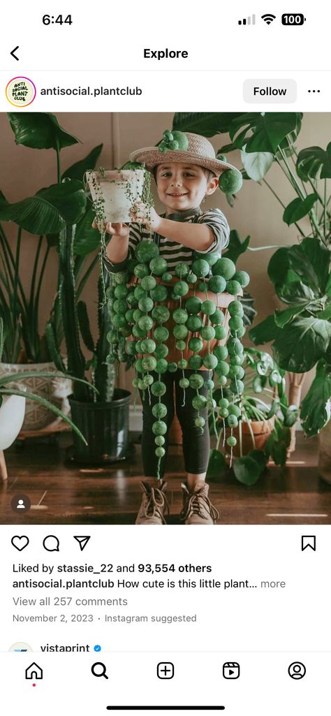 Womens Easy Halloween Costume Ideas, House Plant Costume, Halloween Costume Ideas For Work, Costume Ideas For Work, Plant Costume, Easy Halloween Costume Ideas, Easy Halloween Costume, Bamboo Stalks, Costume Ball