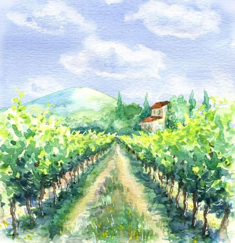 Vineyard Art, Rural Scenes, Wine Art, 수채화 그림, Watercolor Landscape Paintings, Watercolor Sketch, Summer Landscape, Watercolor Inspiration, Sky And Clouds