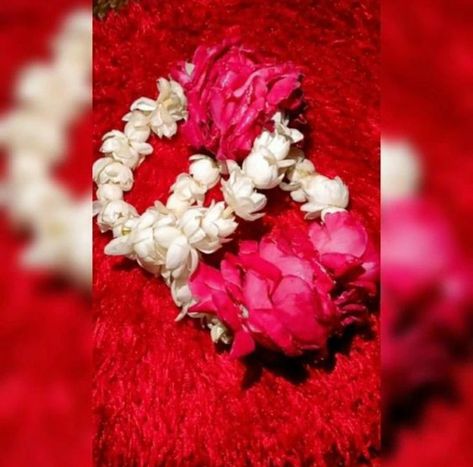 Gajrey Hands Dp, Shadi Decor, Kashees Mehndi, Flowers Dp, Best Birthday Wishes Quotes, Rose Accessories, Wedding Flower Jewelry, Food Snap, Shadow Images