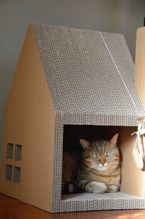 Cat Play Area, Kat Haken, Chat Diy, Kat Diy, Cardboard Cat House, Cardboard Cat, Cats Toys, Housewarming Gift Ideas, Cats House