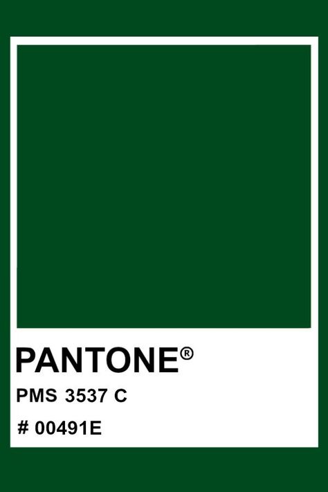 Green Pantone Colors, Forest Green Pantone, Dark Green Pantone, Pantone Green Colors, Pantone Green Shades, Green Pantone, Pantone Green, Pantone Palette, Pantone Colour Palettes