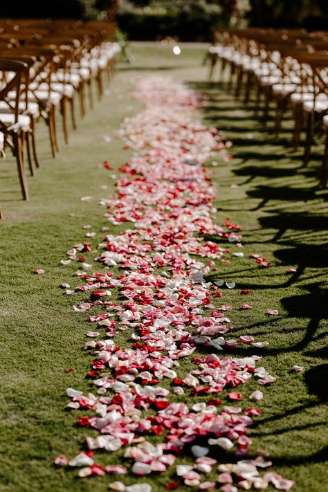 Ceremony Aisle Flower Petals, Flower Petal Aisle Runner, Petals Down Aisle Wedding, Petals And Candles Down Aisle, Rose Petals Aisle Wedding, Colorful Petals Wedding Aisle, Red Rose Petals Wedding Aisle, Wedding Aisle Flower Petals, Flower Petals Down Aisle