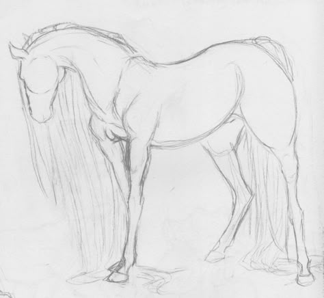 Water Horse Drawing, Water Horse Art, Cool Horse Drawings, Horse Drawings Sketches, Horse Oc Drawing, Water Animal Drawing, Horse Drawing Base, Drawing Horses Sketches, Horse Art Drawing Sketches