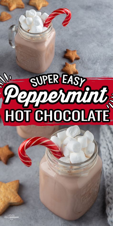 Mint Hot Chocolate Recipe, Gingerbread Hot Chocolate Recipe, Peppermint Hot Chocolate Mix, Candy Cane Hot Chocolate, Creamy Hot Chocolate Recipe, Peppermint Hot Chocolate Recipe, Chocolate Drink Recipes, Hot Cocoa Mix Recipe, Peppermint Recipes