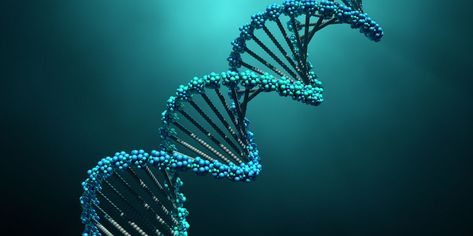 Human Genome Sequenced: Scientists Finally Sequence Entire Genome Muscle Diseases, Gram Negative Bacteria, Dna Molecule, Dna Testing, Brain Diseases, Dna Sequence, Human Genome, Plant Tissue, Ancestry Dna