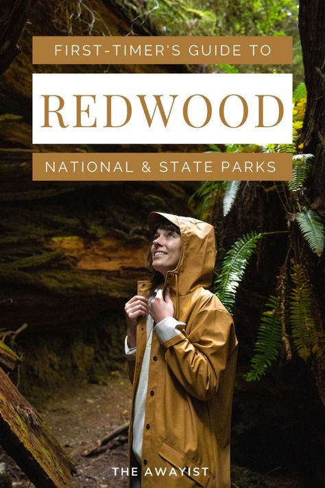 First-Timer's Guide to Redwood National Park - The Awayist Yosemite Vacation, Northern California Road Trip, Redwoods California, Redwood National And State Parks, Napa Valley Trip, Rv Road Trip, Redwood National Park, West Coast Road Trip, Couples Vacation