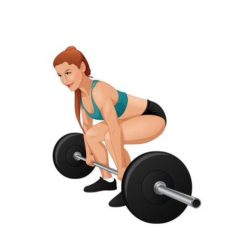 Woman training barbell deadlift. Vector illustration Deadlift Illustration, Barbell Deadlift, Reference Poses, Personal Training, Stationary Bike, Vector Art, Vector Illustration, For Free, Clip Art