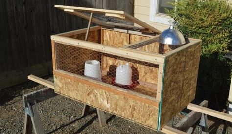 Easy Diy Chicken Brooder, Diy Chicken Brooder, Flour Soup, Chicken Brooder Box, Chick Brooder, Brooder Box, Chicken Brooder, Chicken Cages, Diy Chicken