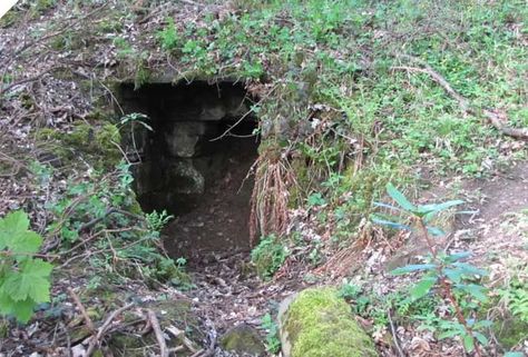 . Homesteading House, Abandoned Bunker, Hidden Passageways, Hidden Library, Secret Passage, Hidden Passage, Secret Doors, Panic Rooms, Secret Passages