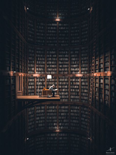 Lots Of Books, Old Libraries, Dream Library, Beautiful Library, Library Aesthetic, Home Libraries, Diy Photography, Library Design, Dark Academia Aesthetic