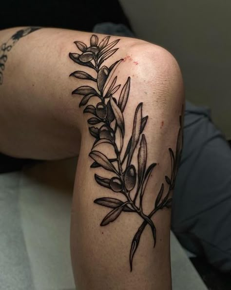 Olive Branch Tattoo Blackwork, Laurel Plant Tattoo, Greek Floral Tattoo, Leg Leaf Tattoo, Olive Branch Leg Tattoo, Olive Branch Knee Tattoo, Olive Leaf Tattoo, Olive Tattoo, Traditional Heart Tattoos