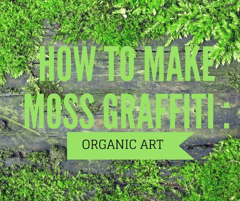 Moss Graffiti, Moss Paint, Preschool Painting, Types Of Moss, Growing Moss, Graffiti I, Moss Decor, Vertical Gardening, Cozy Backyard