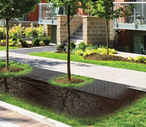 NDS root barrier. Root Barrier, Growing Bamboo, Stormwater Management, Zen Garden Design, French Drain, Tree Root, Erosion Control, Root Growth, Water Management