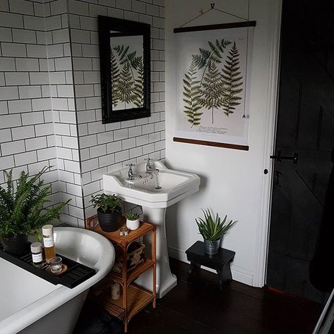 Botanical Bathroom, Bamboo Shelf, Bad Inspiration, Modern Farmhouse Bathroom, Dream Bathrooms, Bath Room, Bathroom Renos, Bath Tub, Farmhouse Bathroom