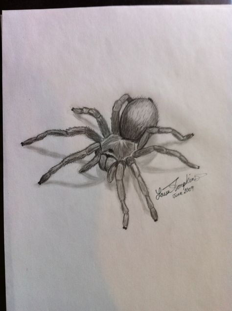 My sketch of "Creeper" :) Artist~ Louise Tompkins; Alberta, Canada Tarantula Drawing Realistic, Tarantula Art Drawing, Tarantula Sketch, Spiders Sketch, Spider Drawing Sketches, Drawing Of Spider, Spiders Drawing, Tarantula Drawing, Spider Draw