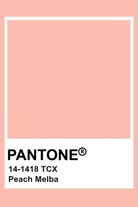 Pantone Peach Melba Peach Pantone, Interior Design Material Board, Pantone Shades, Pantone Tcx, Pantone Color Chart, Pantone Swatches, Peach Melba, Pantone Colours, Pantone Palette