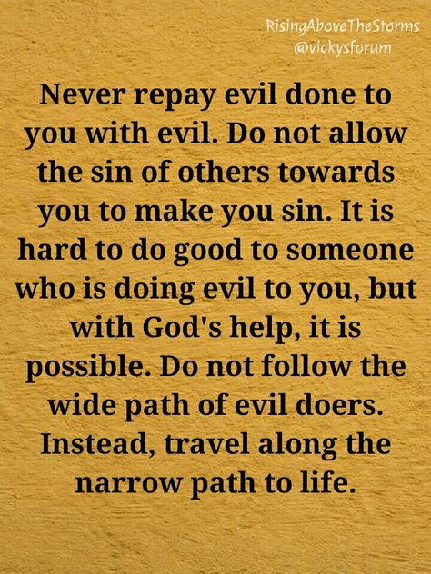 Evil Never Wins, Romans 12 17, What Is Evil, Trusting God, Romans 12, Prayer Verses, Prayer Scriptures, Do What Is Right, Bible Knowledge