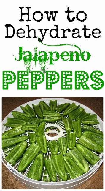 Dehydrated Chili, Freezing Bell Peppers, Dehydrating Recipes, Dehydrating Food Storage, Dehydrated Fruits, Food Dehydration, Jalapeño Peppers, Dehydrating Food, Dehydrated Foods