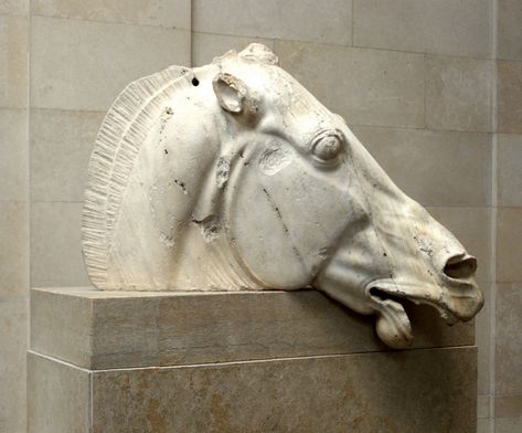 Head of One of the Horses of Selene, Goddess of the Moon, from the East Pediment of the Parthenon Elgin Marbles, Istoria Artei, Greece Athens, Animal Anatomy, London Museums, Acropolis, British Museum, Ancient Greece, Gifts In A Mug