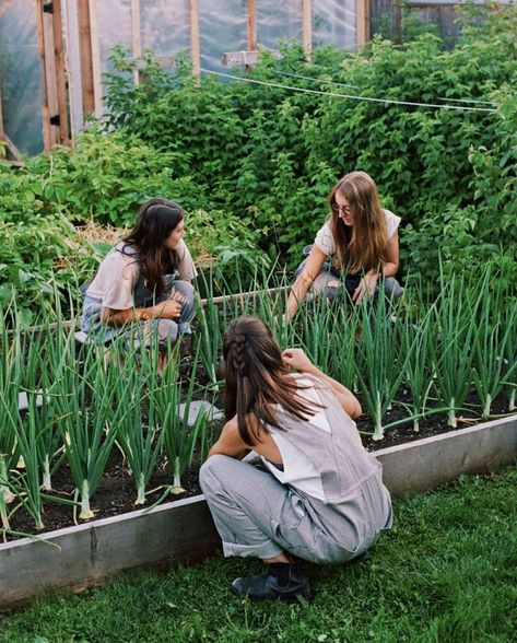 Vancouver’s Urban Farms | MONTECRISTO Urban Farmer, Future Farms, Urban Agriculture, Gardening Outfit, Community Gardening, Urban Farming, Veggie Garden, Farm Gardens, Kitchen Garden