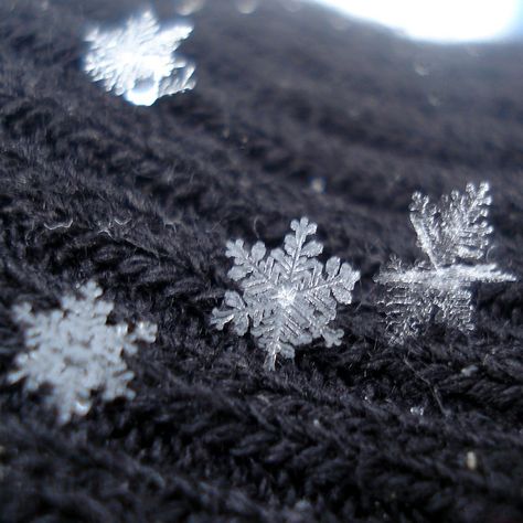 Snowflakes on a sweater - Imgur Snowflake Photography, Foto Macro, Snow Crystal, I Love Winter, Snow Flakes, Snow Ice, Winter Magic, Winter Beauty, Snow And Ice