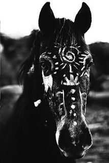 Horse Halloween Costumes, Native American Indian Tribes, Native American Horses, American Indian Tattoos, Indian Horses, Indian Pictures, Horse Costumes, Native American Symbols, Native American Pictures