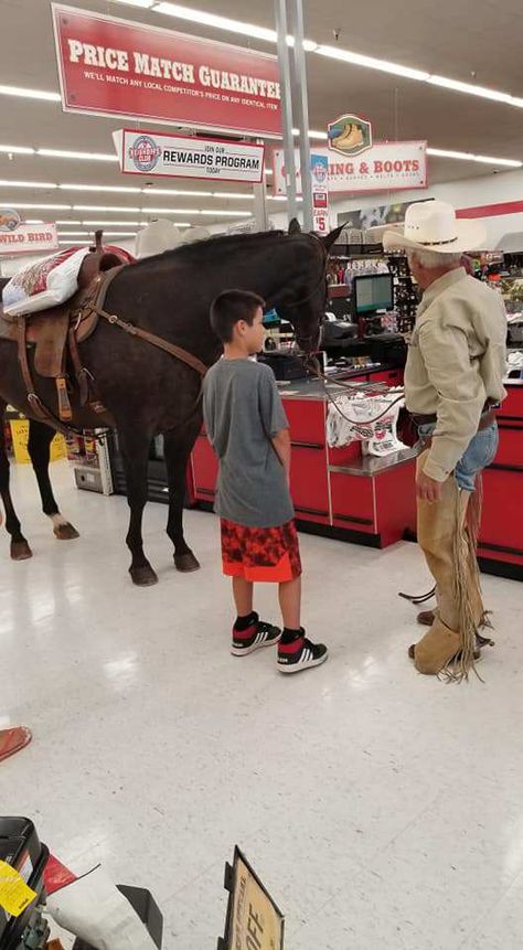 Rootin Tootin, Cow Outfits, Cowboy Stuff, Cowboy Gear, Dream Horse, Tractor Supplies, Horse Barns, Tractor Supply, Horse Barn