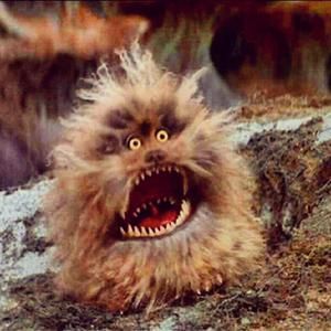 Fizgig-The Dark Crystal Dark Crystal Movie, Fraggle Rock, Dark Crystal, The Dark Crystal, Jim Henson, Magical Creatures, Labyrinth, The Two, Movies Showing