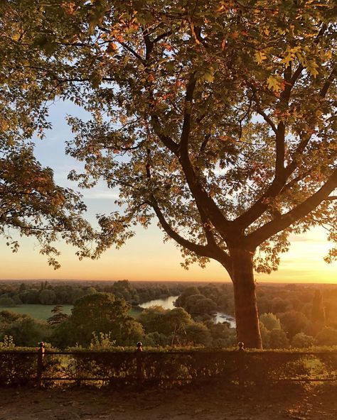 Media Coursework, Richmond London, Ber Months, Richmond Upon Thames, Autumn Sunset, Richmond Park, Genius Loci, Kingdom Of Great Britain, Richmond Hill