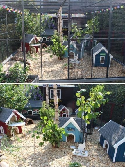 Rabbit Playground, Indoor Rabbit Cage, Outdoor Rabbit, Rabbit Enclosure, Rabbit Habitat, Animal Enclosures, Rabbit Farm, Bunny Home, Bunny Hutch