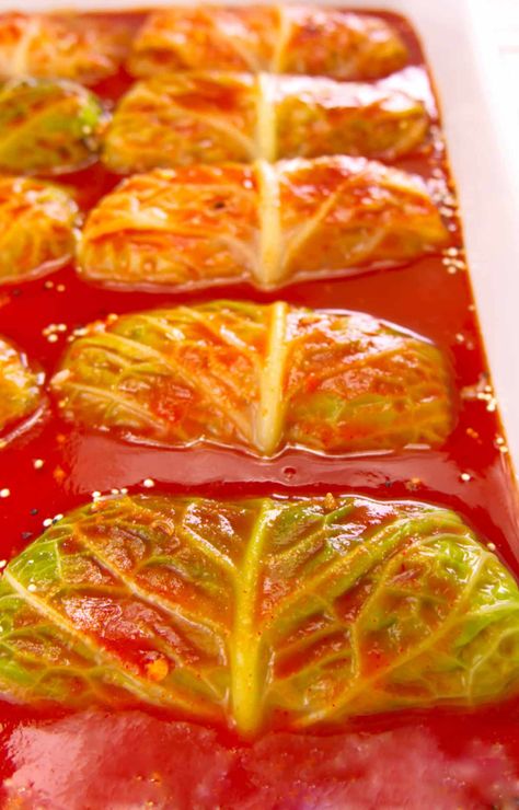 Stuffed Cabbage Rolls Recipe Cabbage Roll Sauce, Stuffed Cabbage Recipes, Best Cabbage Rolls, Best Cabbage Rolls Recipe, Stuffed Cabbage Recipe, Stuffed Cabbage Rolls Recipe, Recipe Using Tomatoes, Tomato Juice Recipes, Easy Cabbage Rolls