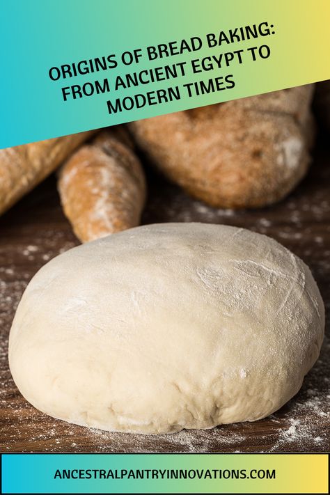 Explore the origins of bread baking from ancient Egypt to modern times. Discover traditional recipes and modern techniques in this comprehensive guide.
#baking #bread #breadbaking Egyptian Bread, Traditional Bread Recipe, Food Innovation, Clay Oven, Wild Yeast, Traditional Recipes, Baking Bread, Family Favorite Meals, Fermented Foods