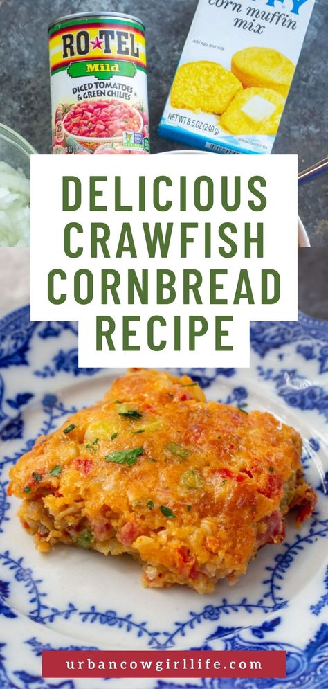 Discover the joy of homemade goodness with our step-by-step guide to crafting the ultimate crawfish cornbread – a delicious journey awaits!| crawfish cornbread recipe, crawfish cornbread recipe easy, crawfish cornbread, crawfish recipes, easy recipes, dinner recipes, festive dinner recipes, southern recipes | Recipe For Leftover Crawfish, Crayfish Cornbread Recipe, Jiffy Crawfish Cornbread Recipes, Catering Main Dish Ideas, Crawfish Dinner Ideas, Crawfish Breakfast Recipe, Crawfish Cornbread Recipes, Crawfish Shrimp Pasta, Crawfish Casserole Recipes