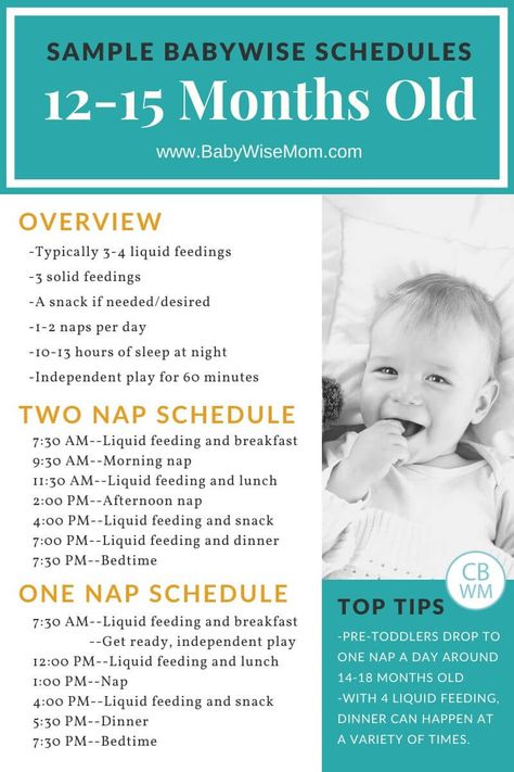 Sample schedules for 12-15 months old. Sample schedules for 12-15 month old pretoddlers using the Babywise method. Know what milestones to expect and how to shift the schedule for your young toddler. #sampleschedules #toddlerschedules #pretoddlerschedules #printableschedules Sleep Schedule For 15 Month Old, 12 Month Sleep Schedule, 15 Month Old Milestones, 12 Month Schedule, 12 Month Old Schedule, Babywise Schedule, 12 Month Milestones, Baby Wise, Newborn Schedule