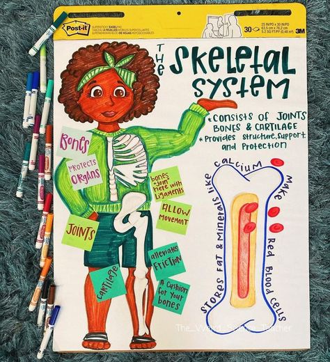 Body Systems Anchor Chart, Human Body Anchor Chart 2nd Grade, Human Body Systems Anchor Chart, Skeletal System Anchor Chart, Skeletal And Muscular System Activities, Skeletal System Project, Skeletal System Activities, Human Systems, Skeletal System Worksheet