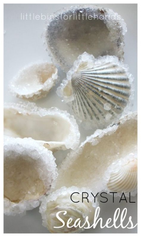 Borax Uses for Kids on Frugal Coupon Living. 15 of the most creative Borax Recipes and science experiments to create in the home. Ocean Science Experiments, Crystal Shells, Fun Summer Games, Summer Science Experiments, Easter Science, Borax Crystals, Crystal Growing, Beach Activity, Crystal Seashells